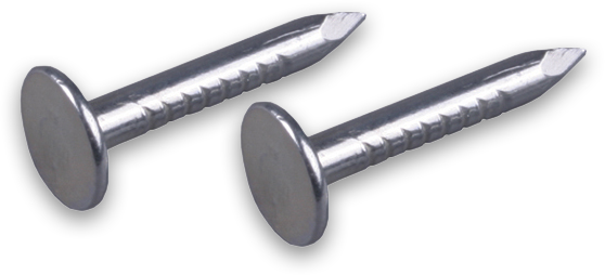 Гвозди толевые с большой плоской головкой 50мм оц.